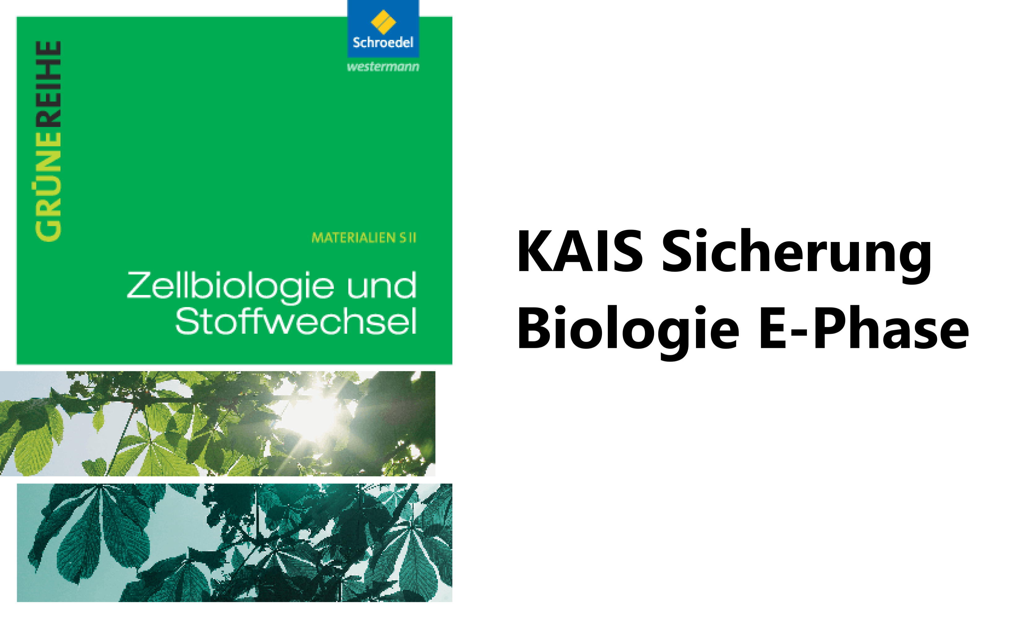 course_image