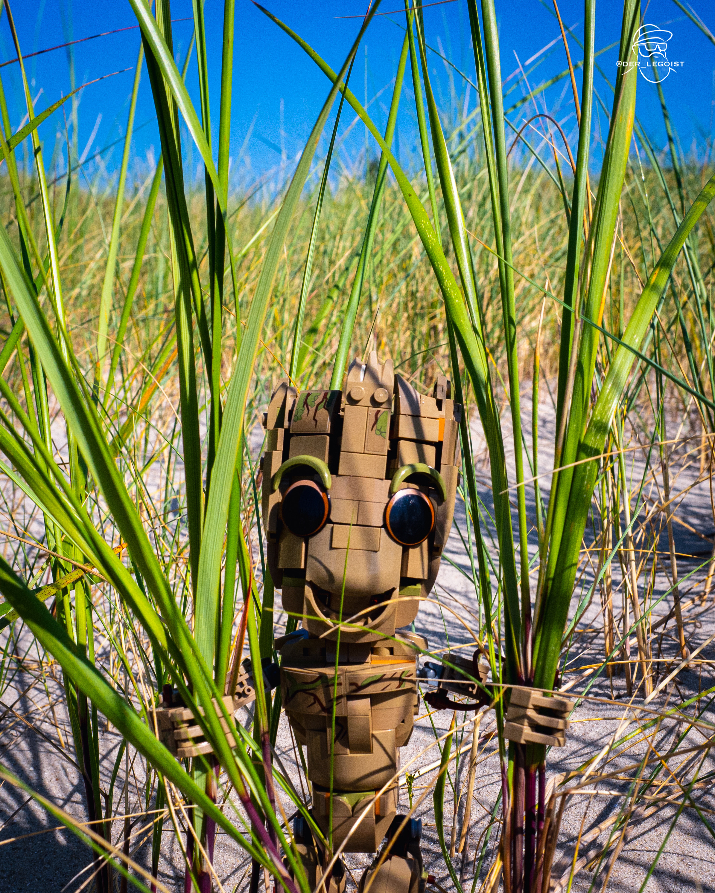 course_image
