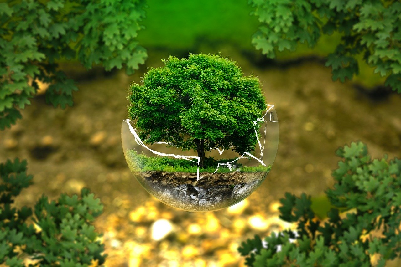 course_image